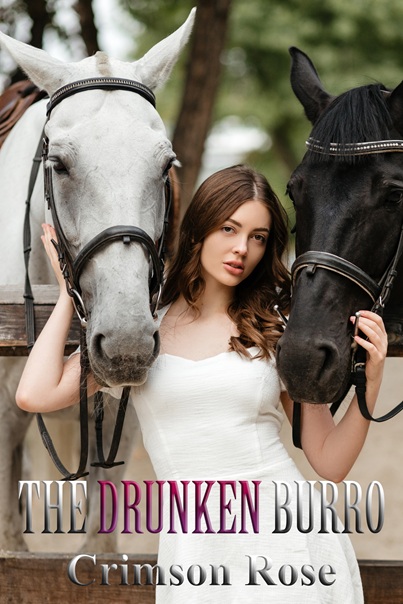tndrunken_burro.jpg